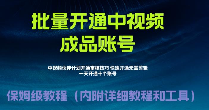 外面收费1980暴力开通中视频计划教程，附 快速通过中视频伙伴计划的办法-网创特工