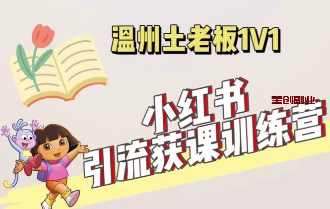 小红书1对1引流获客训练营：账号、内容、引流、成交价值3999元的课程【小红书获客】-网创特工