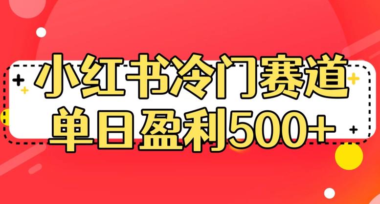 小红书冷门赛道，教你单日盈利500的秘密方法！赚钱课程全解析！-网创特工