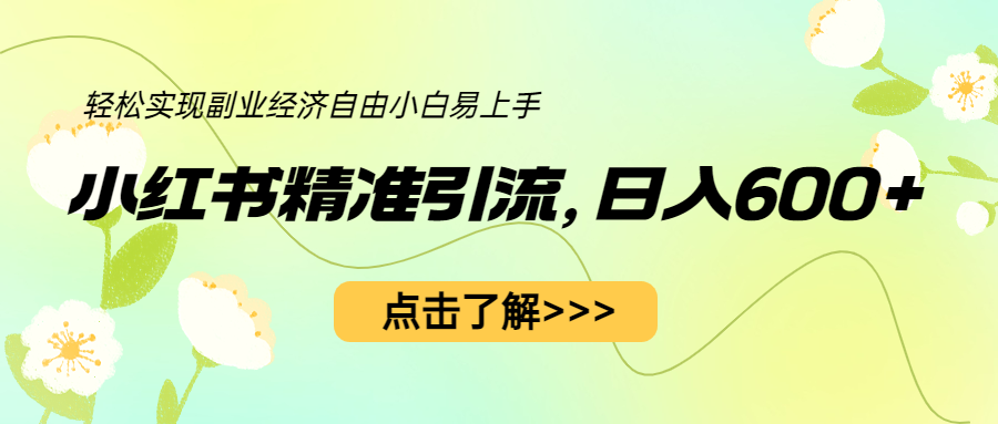 小红书精准引流，小白日入600+，轻松实现副业经济自由（教程+1153G资源）-网创特工