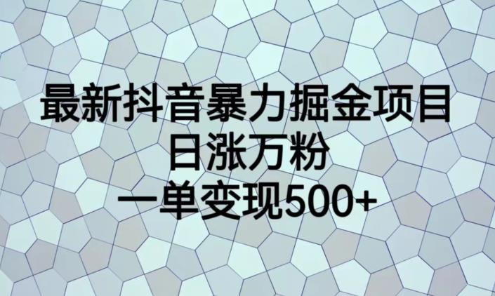 最新抖音暴力掘金项目，日涨万粉，一单变现500+【揭秘】-网创特工