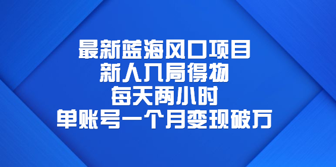 最新蓝海风口项目，新人入局得物，每天两小时，单账号一个月变现破万-网创特工