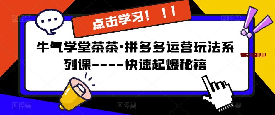 牛气学堂茶茶•拼多多运营玩法系列课—快速起爆秘籍-网创特工