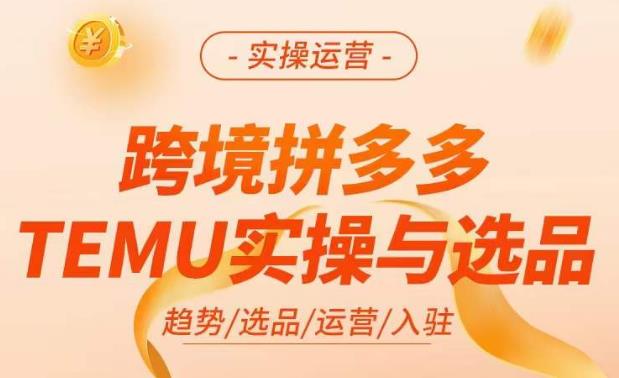 跨境拼多多TEMU实操与选品：掌握平台运营方法和技巧，选品避坑12条标准，爆款底层思路-网创特工