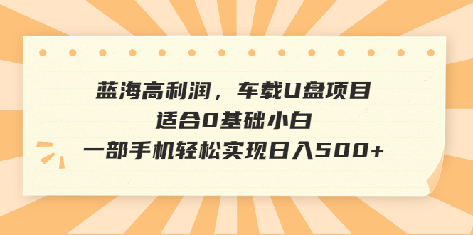 蓝海暴利项目！车载音乐U盘适合0基础小白！一部手机实现日入500！-网创特工