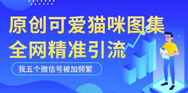 黑科技纯原创可爱猫咪图片：全网精准引流，实践中五个VX号添加频繁-网创特工