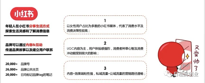 图片[3]-小红书民宿推广玩法，新手轻松日入1000+！-网创特工