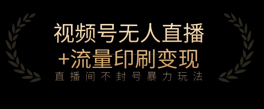 揭秘全网首发视频号直播暴利玩法，流量印刷机变现，日入1000-网创特工