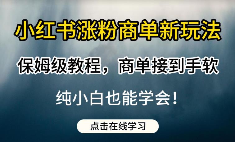 小红书商单项目教程，适合宝妈、上班族和大学生，每月轻松增加几千零花钱【附带教程】-网创特工