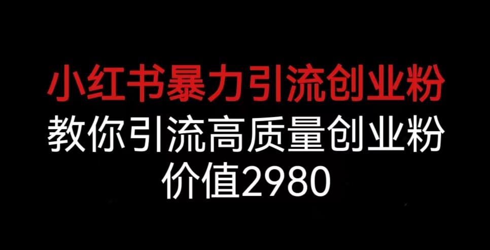 小红书暴力引流创业粉，教你引流高质量创业粉，价值2980【揭秘】-网创特工