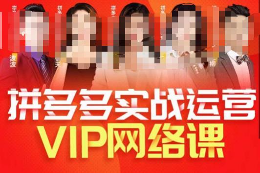 拼多多VIP直播课程，提升销售业绩，高级直通车和店铺实操玩法，实战选款内功-网创特工