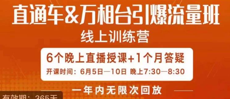 直通车&万相台引爆流量班，6天打通你开直通车·万相台的任督二脉-网创特工