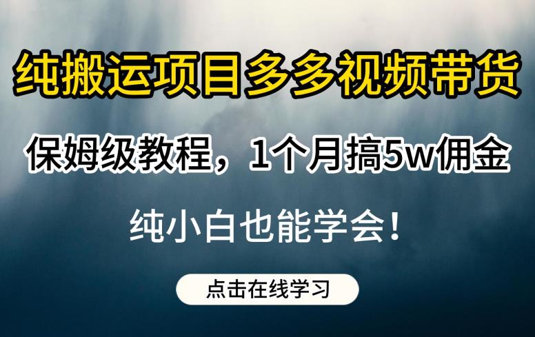 纯搬运视频带货保姆级教程：学会如何1个月搞5W佣金，轻松赚钱！-网创特工