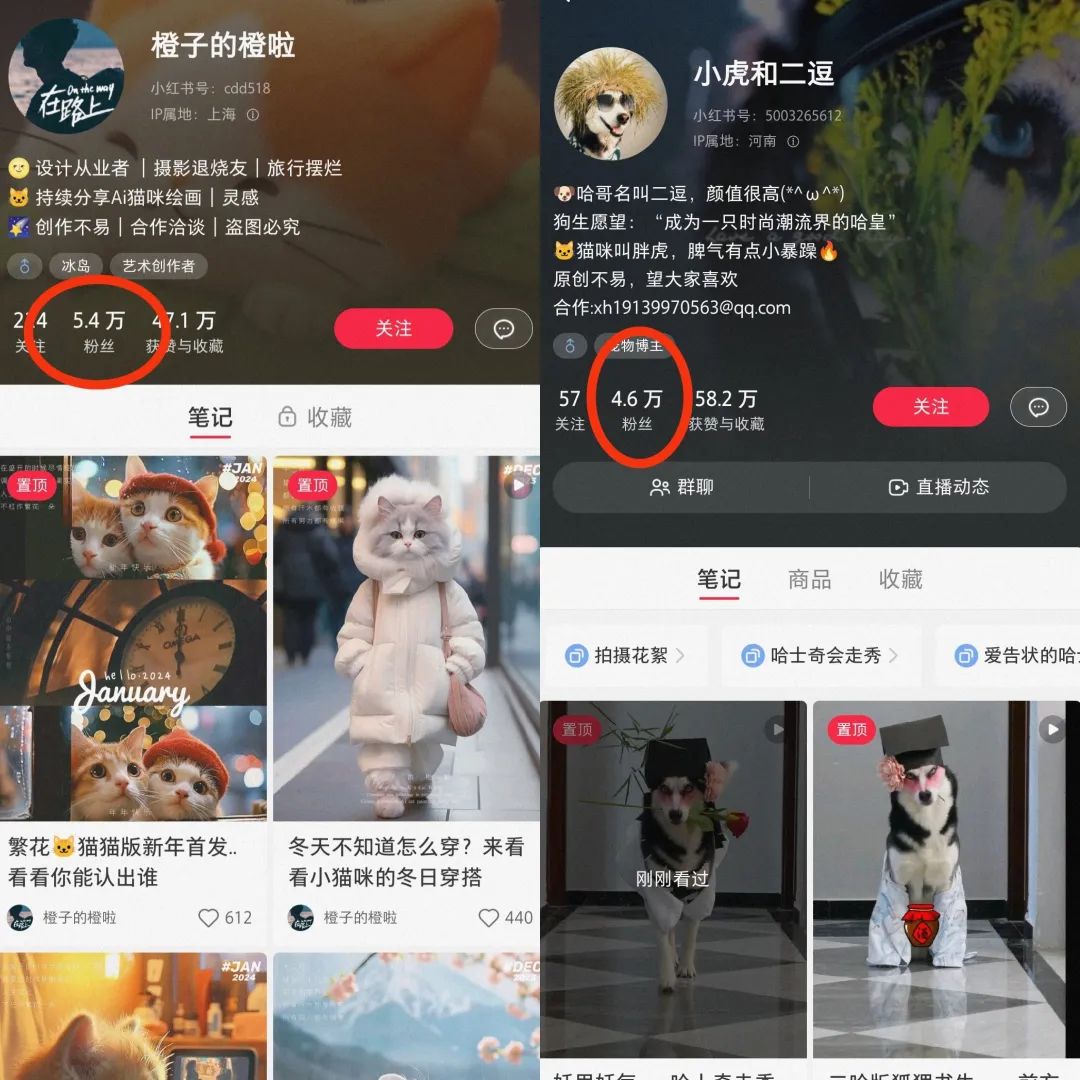 图片[5]-【项目拆解】7天变现一万多，最新爆款animals时装秀-网创特工