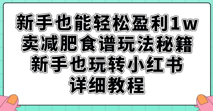 小红书减肥食谱销售秘籍：轻松盈利1W详细教程【揭秘】-网创特工