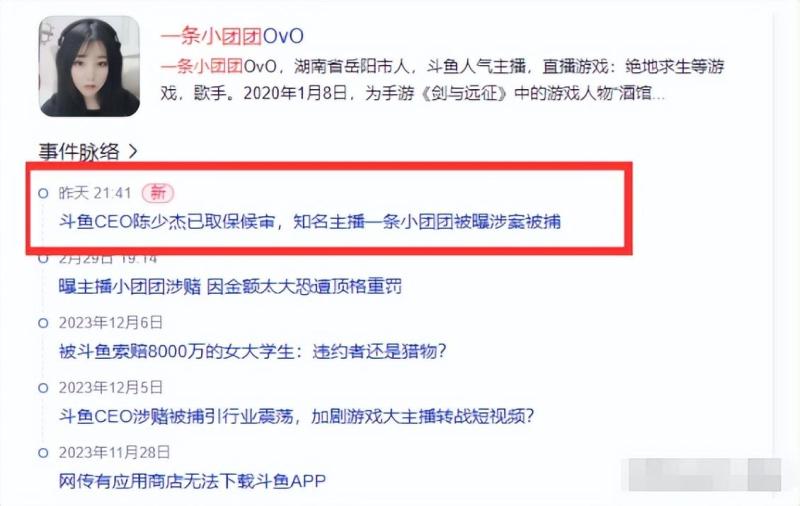 图片[2]-突发！网红“一条小团团”确认被逮捕，知情人曝更多细节：不冤-网创特工