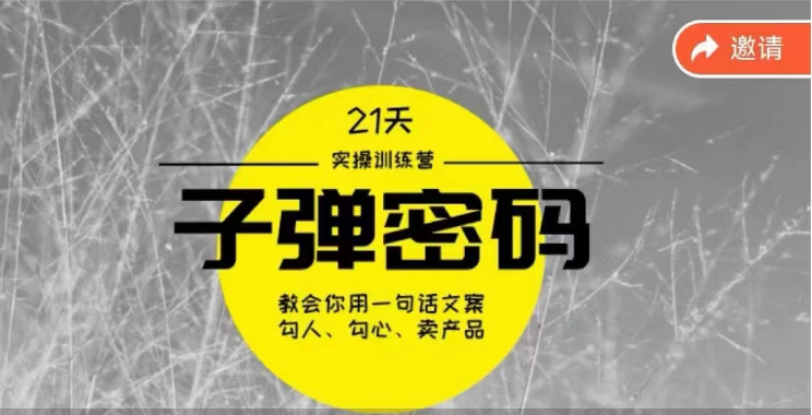 《子弹密码训练营》-用一句话文案勾人勾心卖产品，21天学到顶尖文案大师策略和技巧-网创特工