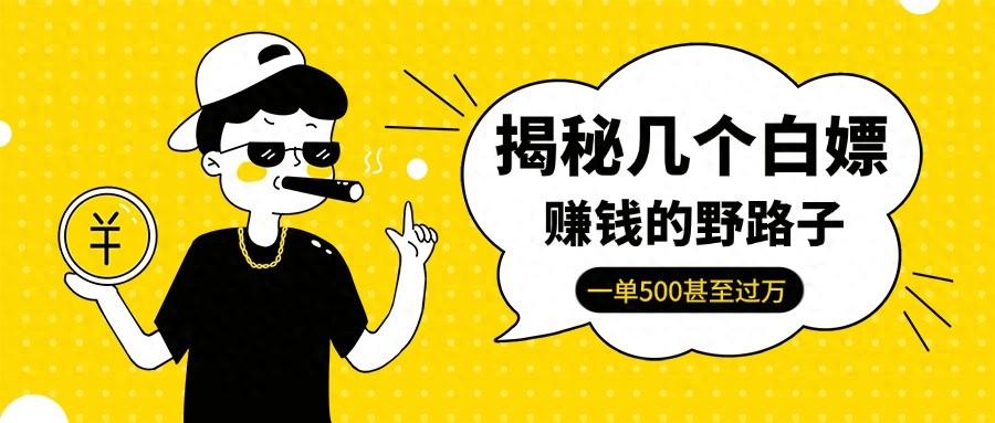 揭秘几个白嫖赚钱的野路子，一单500甚至过万！-网创特工