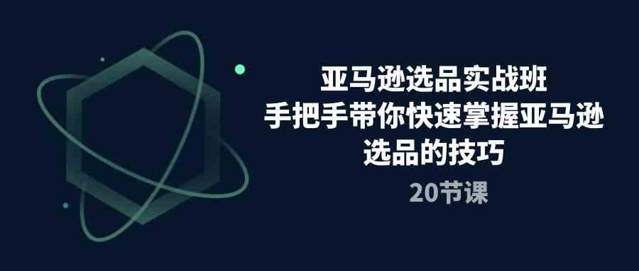 亚马逊选品实战班，手把手带你快速掌握亚马逊选品的技巧（20节课）-网创特工