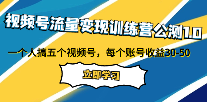 视频号流量变现训练营公测1.0，一个人搞五个视频号，每个账号收益30-50-网创特工