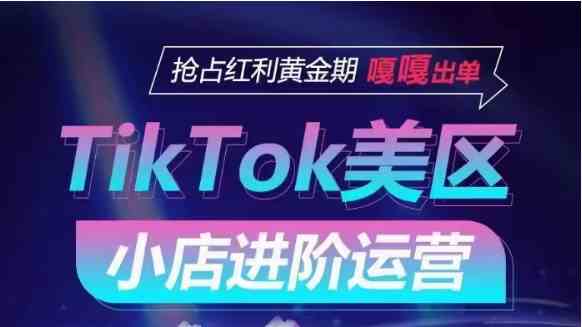 TikTok Shop美区小店进阶运营，快速掌握各流量渠道玩法，抢占红利黄金期，嘎嘎出单-网创特工