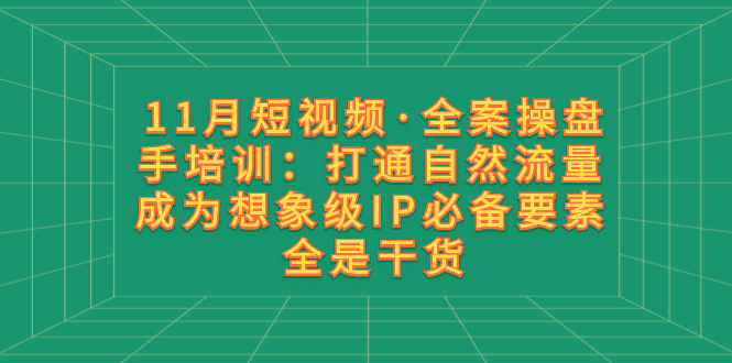 11月短视频·全案操盘手培训：打通自然流量 成为想象级IP必备要素 全是干货-网创特工