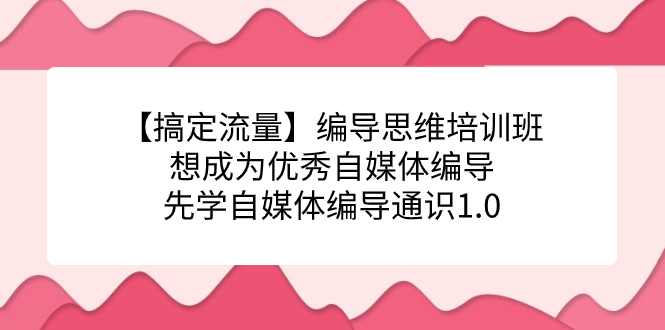 【流量玩家必备】编导思维培训班，想成为优秀自媒体编导先学自媒体编导通识1.0-网创特工