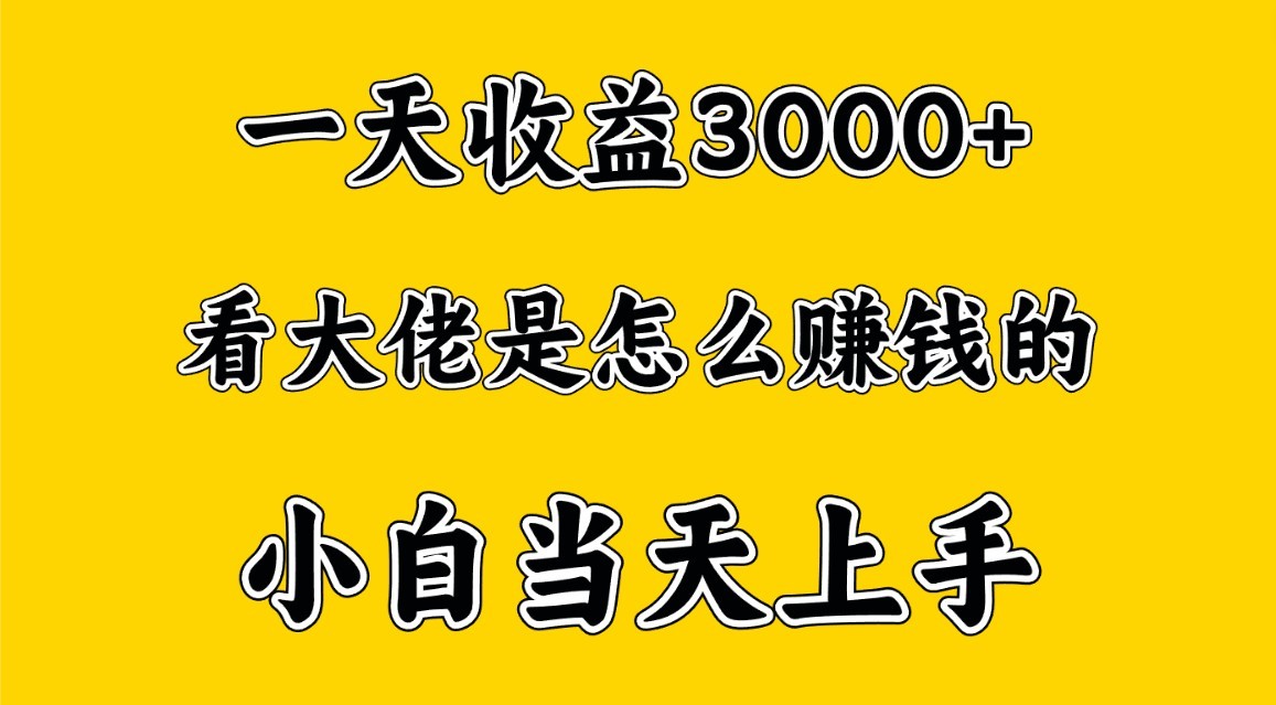 一天赚3000多，大佬是这样赚到钱的，小白当天上手，穷人翻身项目-网创特工