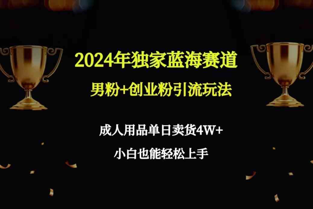 2024年独家蓝海赛道男粉+创业粉引流玩法，*单日卖货4W+保姆教程-网创特工