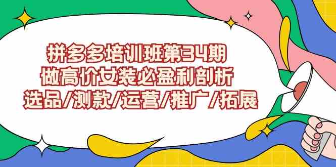 拼多多培训班第34期：做高价女装必盈利剖析 选品/测款/运营/推广/拓展-网创特工