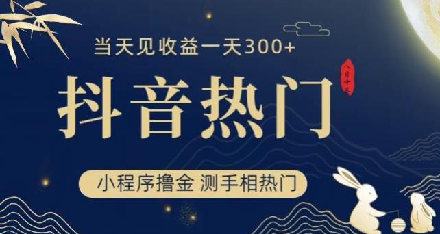 抖音最新小程序撸金：测手相上热门，当天见收益一小时变现300【揭秘】-网创特工