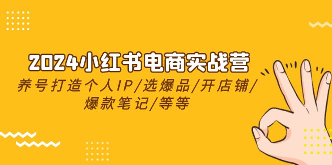 2024小红书电商实战营，养号打造IP/选爆品/开店铺/爆款笔记/等等（24节）-网创特工