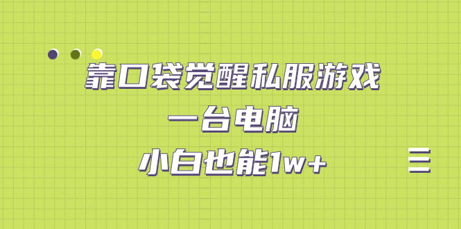 靠口袋觉醒*游戏，一台电脑，小白也能1w+（教程+工具+资料）-网创特工