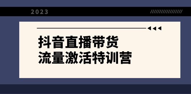 抖音直播带货-流量激活特训营，入行新手小白主播必学（21节课+资料）-网创特工