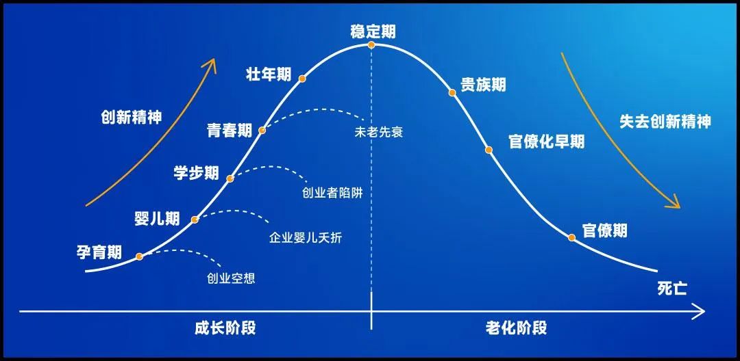 创业到底是怎么做到的？那么多坑，他们是怎么避开的？-网创特工