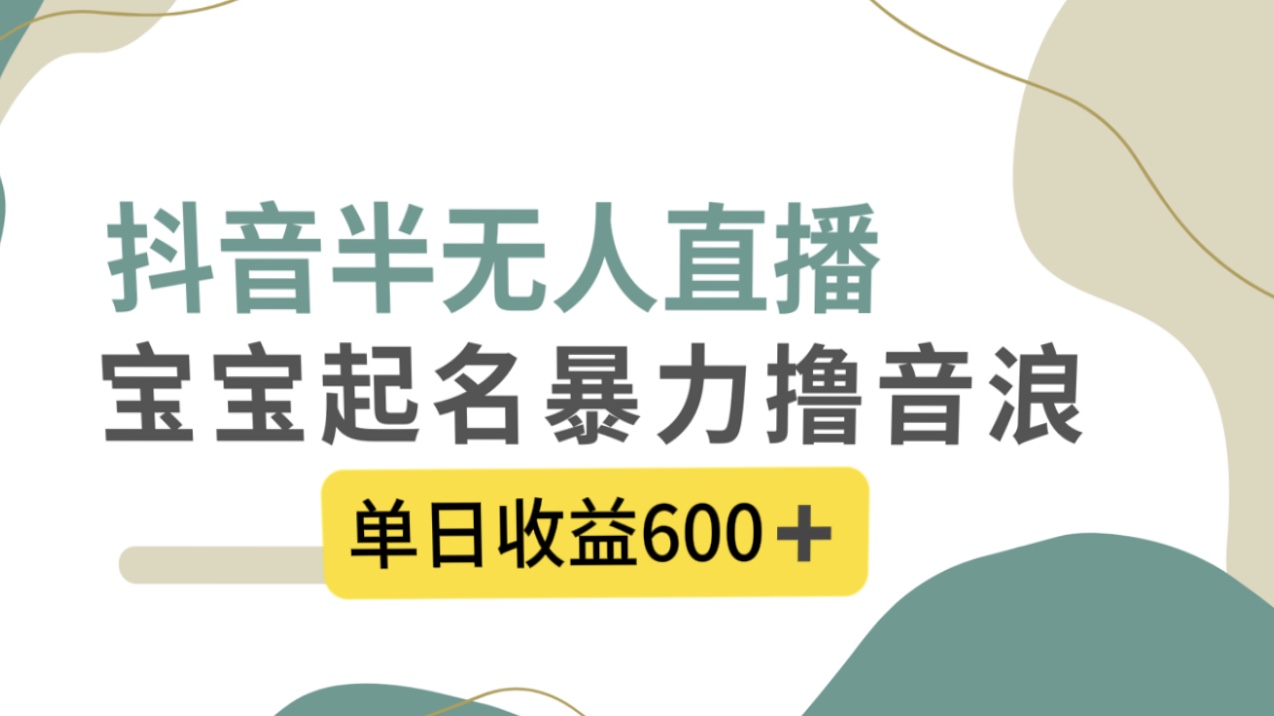 抖音半无人直播，宝宝起名，暴力撸音浪，单日收益600+-网创特工